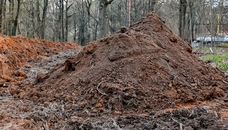 Stos ziemi w lesie, otoczony drzewami i liśćmi